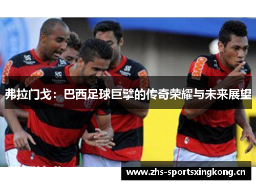 弗拉门戈：巴西足球巨擘的传奇荣耀与未来展望