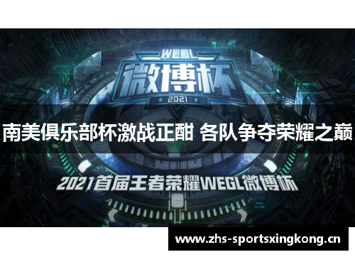 南美俱乐部杯激战正酣 各队争夺荣耀之巅 南美俱乐部杯激战正酣 各队争夺荣耀之巅